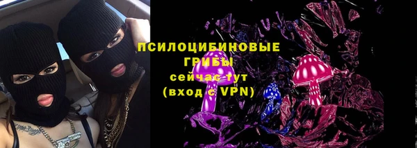 стафф Богданович